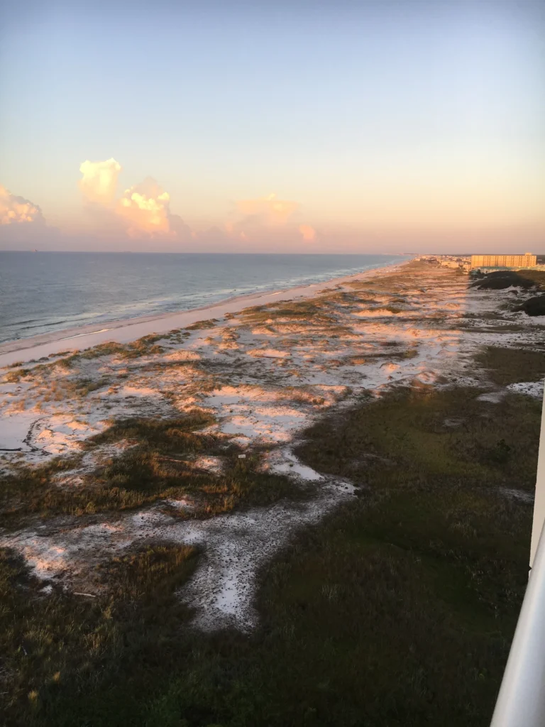 beach Life is a Beach