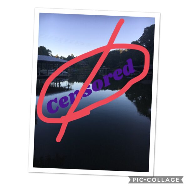 The Beauty of God's creation