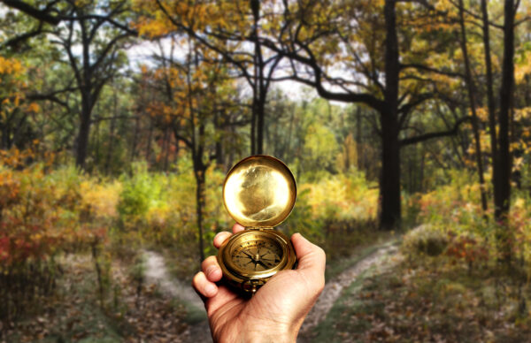 Who is in control of your compass? God or You?