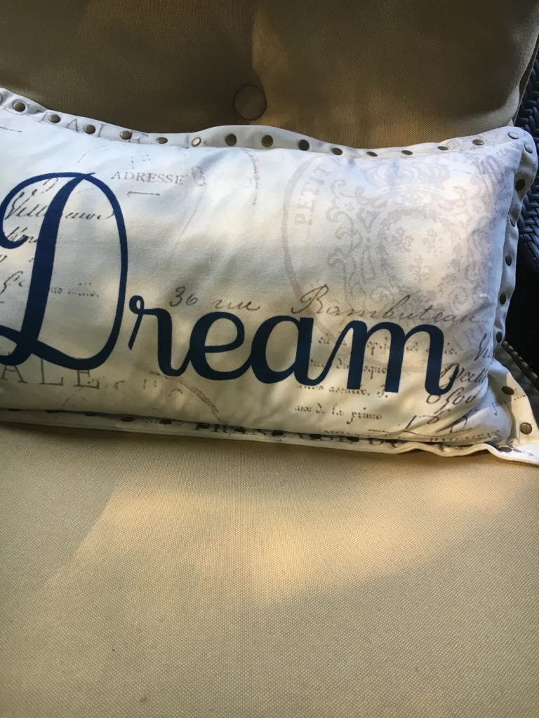 Dream Your Dreams