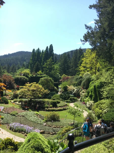 Garden in Victoria BC
