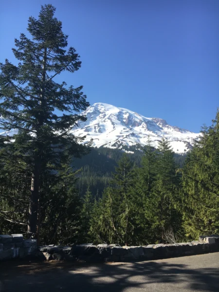 Such beauty, I'm screaming at my Mountain about my God.