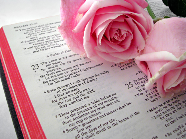 Photo of an open bible with two pink roses - Psalms are a gift from God