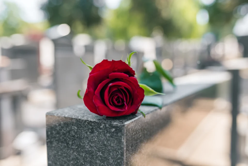 red-rose Red Rose
