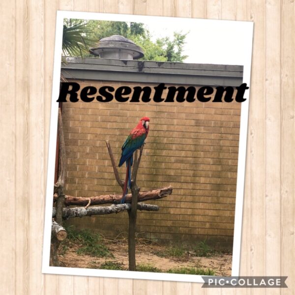 Lonely is the person filled with resentment