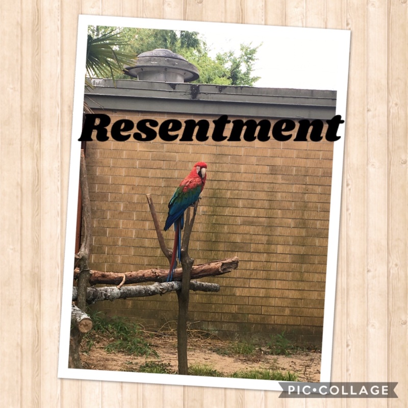 resentment Lonely is the person filled with resentment
