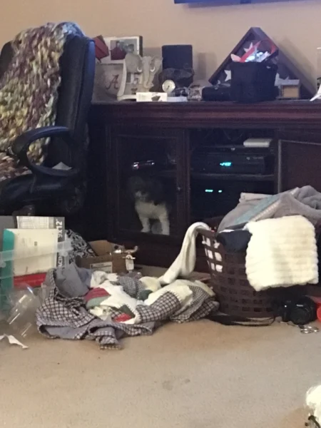 Tippy and her safe place